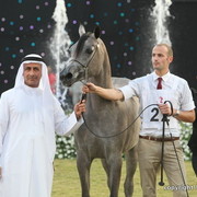 Ajman Show 2010 (Day 2)