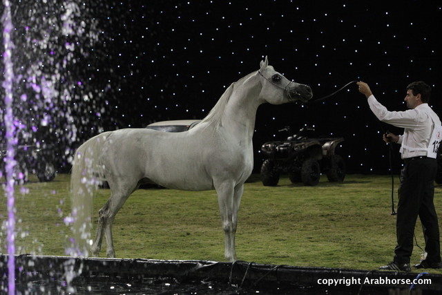 Ajman Show 2010 (Day 2)