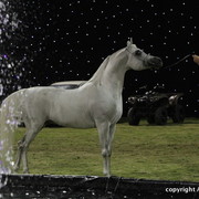 Ajman Show 2010 (Day 2)