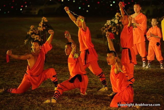 Ajman Show 2010 (Day 2)