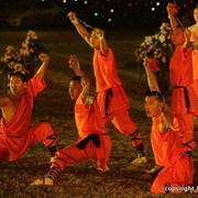 Ajman Show 2010 (Day 2)