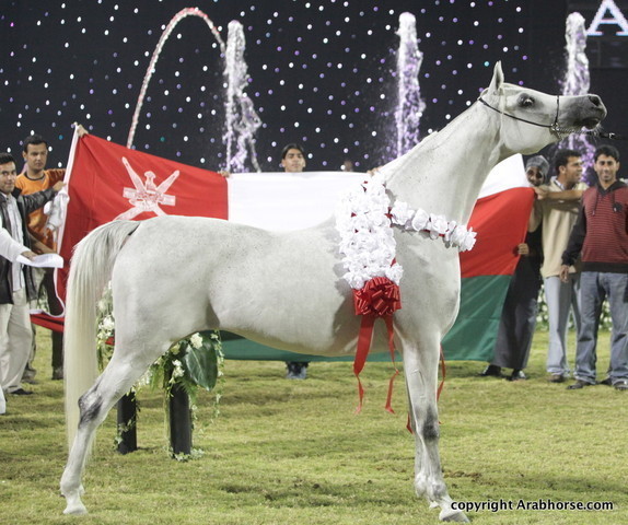 Ajman Show 2010 (Day 2)