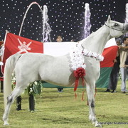 Ajman Show 2010 (Day 2)