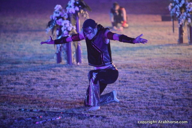 Ajman Show 2010 (Day 2)