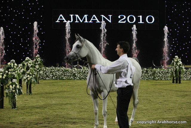 Ajman Show 2010 (Day 2)