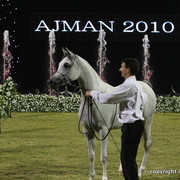 Ajman Show 2010 (Day 2)