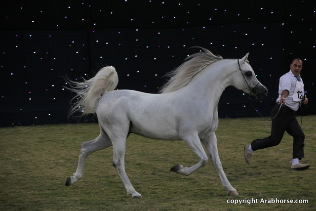 Ajman Show 2010 (Day 2)