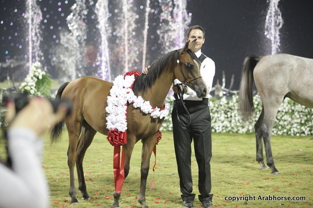 Ajman Show 2010 (Day 2)