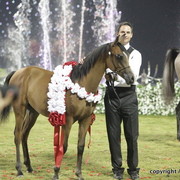 Ajman Show 2010 (Day 2)