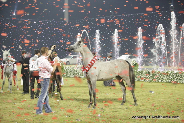 Ajman Show 2010 (Day 2)