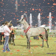 Ajman Show 2010 (Day 2)