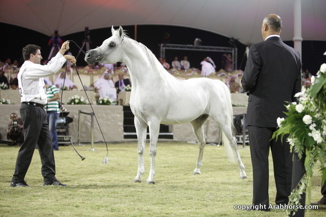 Ajman Show 2010 (Day 2)