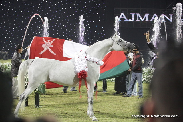 Ajman Show 2010 (Day 2)