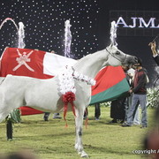 Ajman Show 2010 (Day 2)