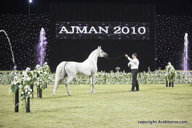 Ajman Show 2010 (Day 2)