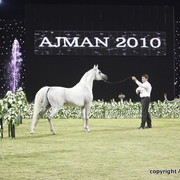 Ajman Show 2010 (Day 2)