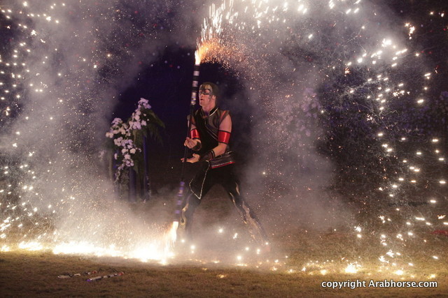 Ajman Show 2010 (Day 2)