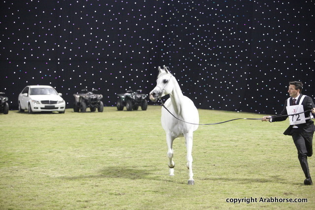 Ajman Show 2010 (Day 2)