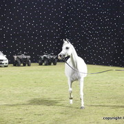 Ajman Show 2010 (Day 2)