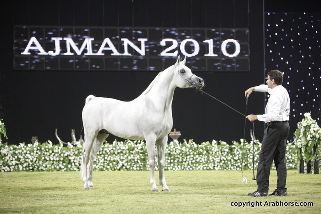 Ajman Show 2010 (Day 2)