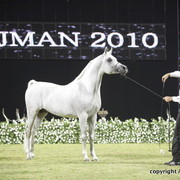 Ajman Show 2010 (Day 2)