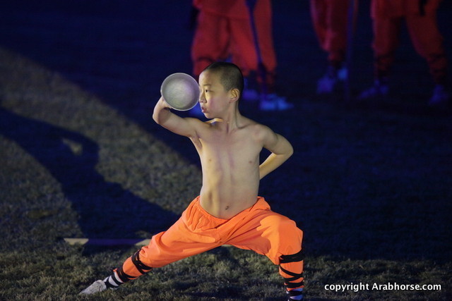 Ajman Show 2010 (Day 2)