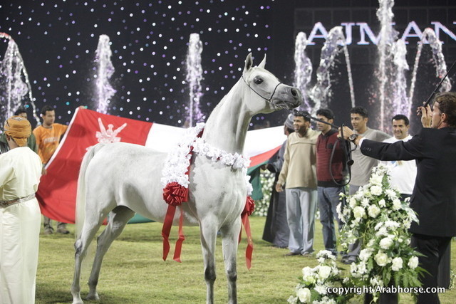 Ajman Show 2010 (Day 2)