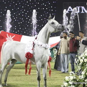 Ajman Show 2010 (Day 2)