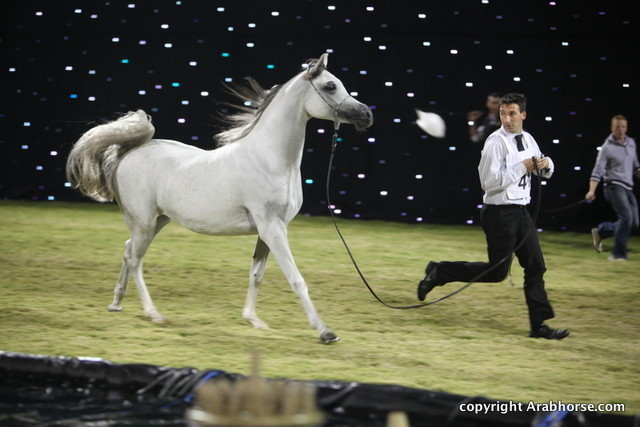 Ajman Show 2010 (Day 2)