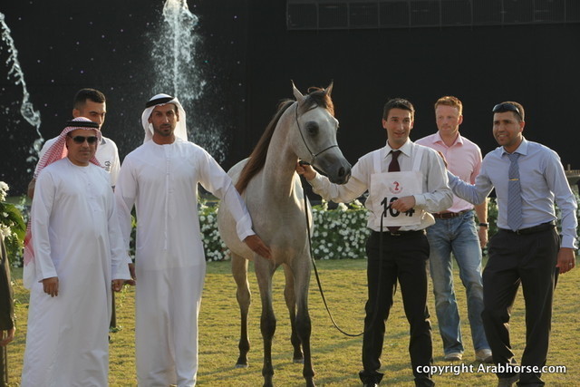 Ajman Show 2010 (Day 2)