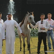 Ajman Show 2010 (Day 2)