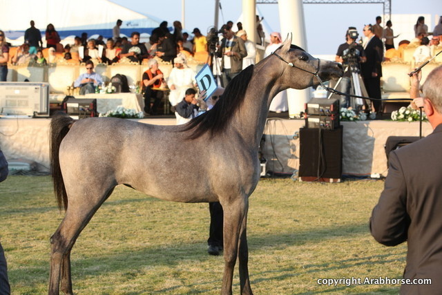 Ajman Show 2010 (Day 2)