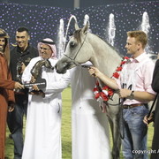 Ajman Show 2010 (Day 2)