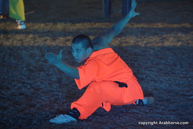 Ajman Show 2010 (Day 2)