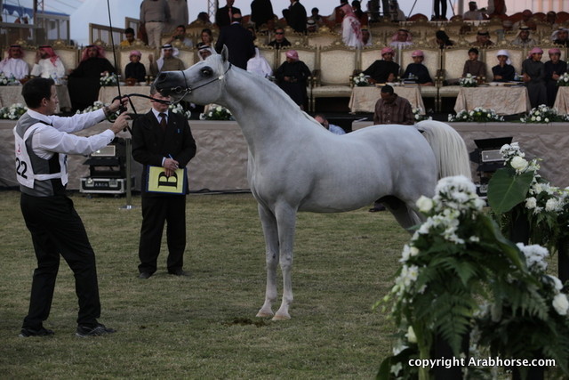 Ajman Show 2010 (Day 2)
