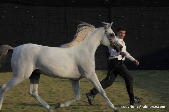 Ajman Show 2010 (Day 2)