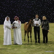 Ajman Show 2010 (Day 2)