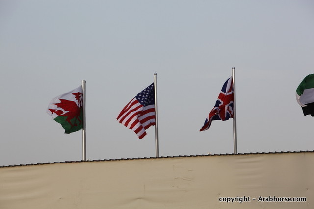 Al Khalediah Arabian Horse Festival Day 1