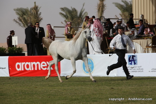Al Khalediah Arabian Horse Festival Day 1