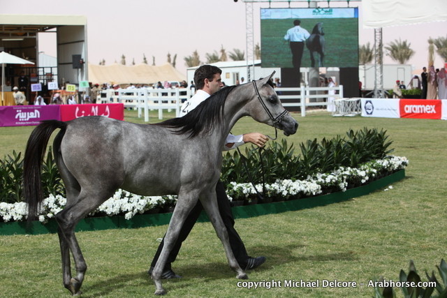 Aj Raheda by WH Justice