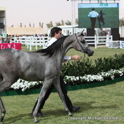 Aj Raheda by WH Justice