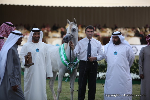 Al Khalediah Arabian Horse Festival Day 1