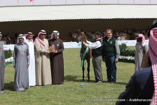 Ghazalat Al Mohamadia by EKS Bey Al Gazal