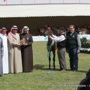 Ghazalat Al Mohamadia by EKS Bey Al Gazal