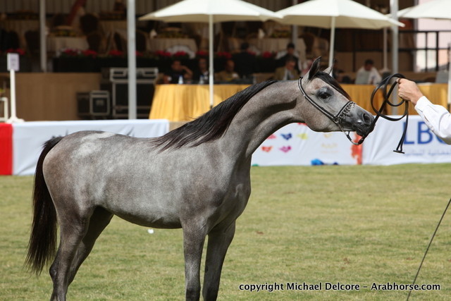 Aj Raheda by WH Justice