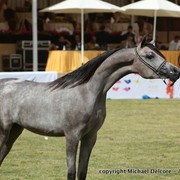 Aj Raheda by WH Justice