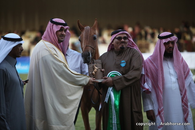 Al Khalediah Arabian Horse Festival Day 1