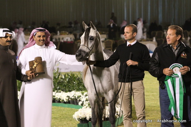 Al Khalediah Arabian Horse Festival Day 1