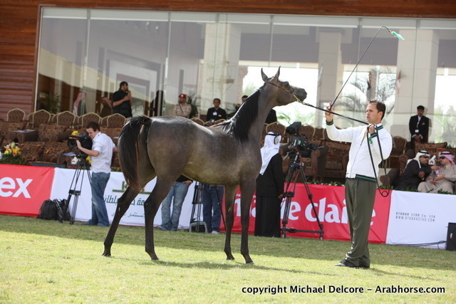 ES Arosa by Marwan Al Shaqab