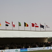 The Al Khalediah Arabian Horse Festival